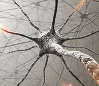 imagen neuropatias